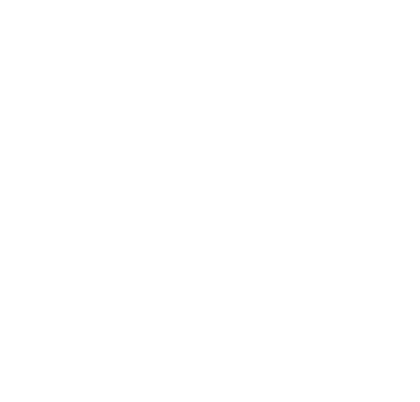 Next Rise Project