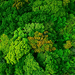 Sustainability